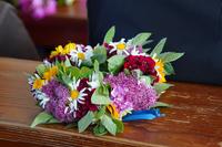 DSC08767.JPG