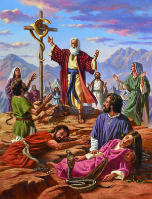 pobrany plik (13).jpg