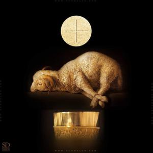 pobrany plik (22).jpg